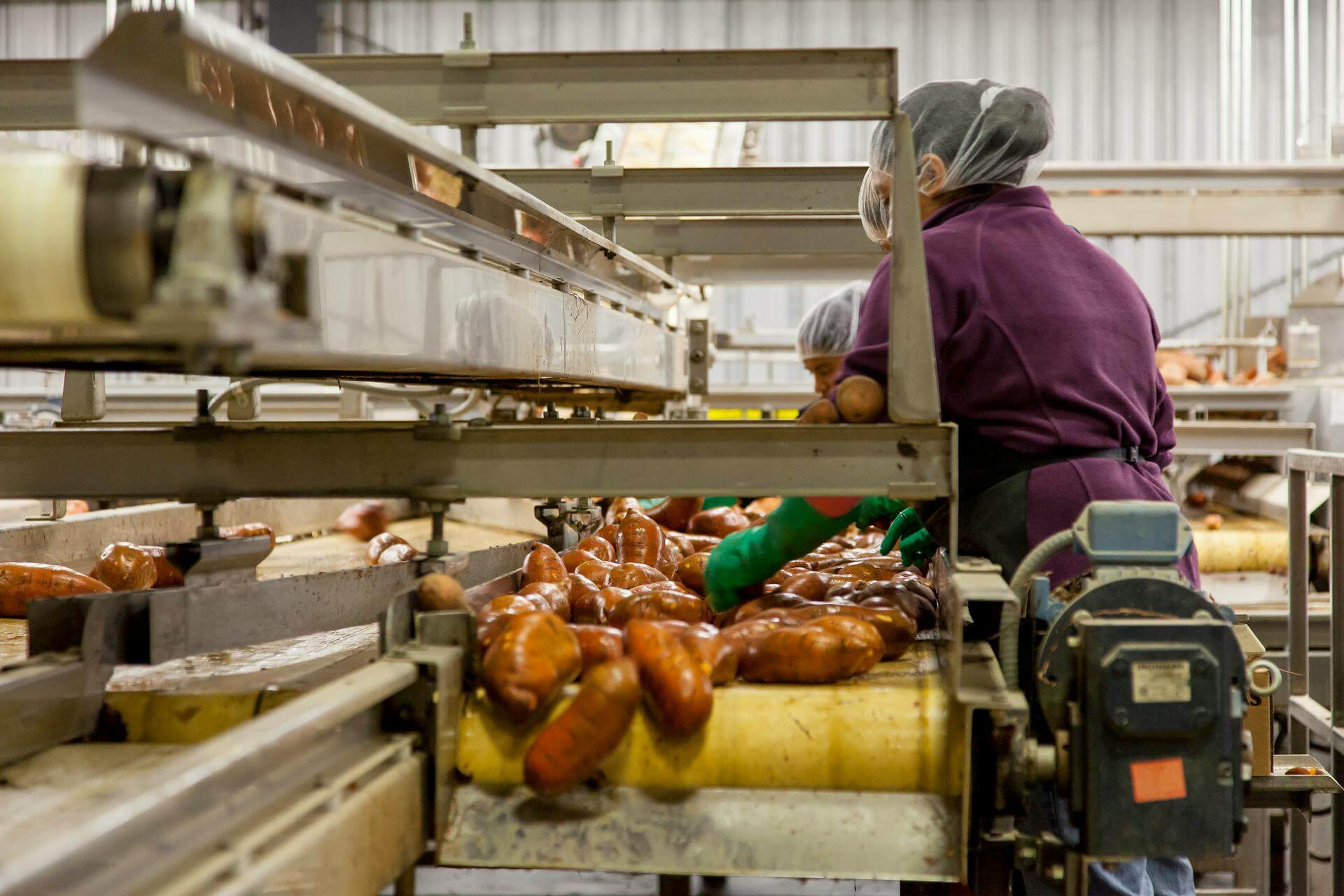 Food Safety